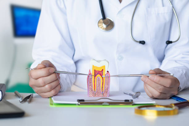 Best Emergency Root Canal Treatment in Crestwood, KY